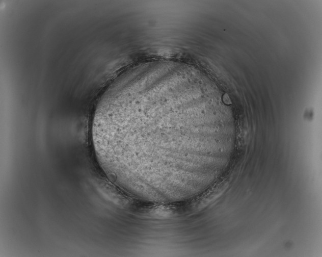 X0000096960656200802151237