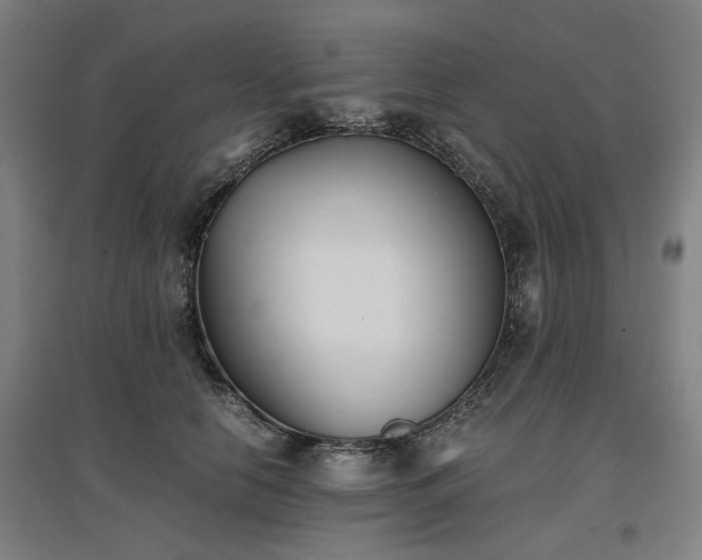 X0000096960658200802151237