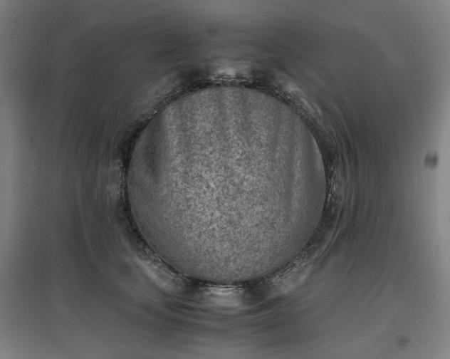 X0000096960659200802151237