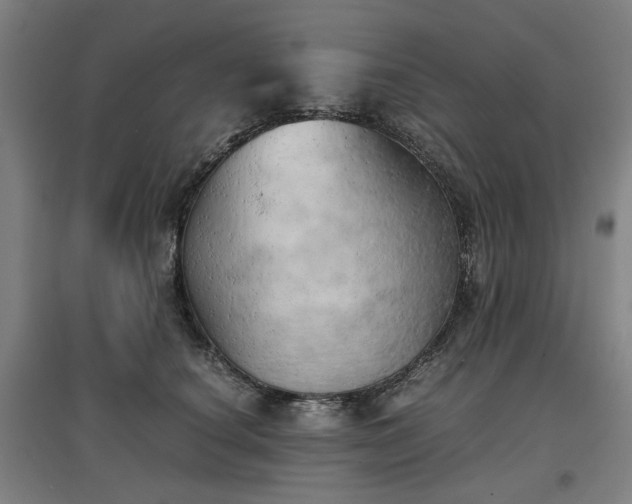 X0000096960660200802151237