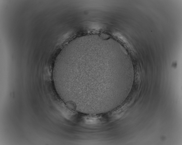 X0000096960661200802151237