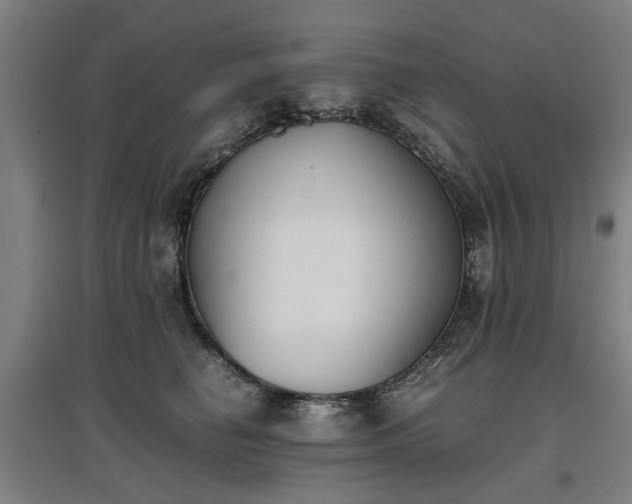 X0000096960662200802151237