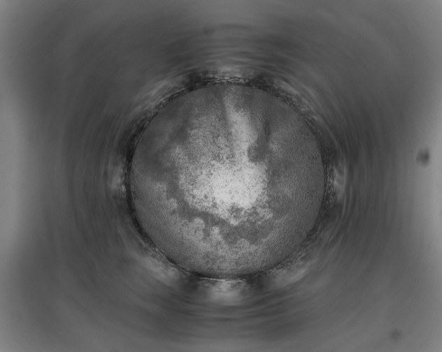 X0000096960663200802151237