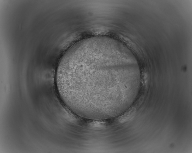 X0000096960664200802151237