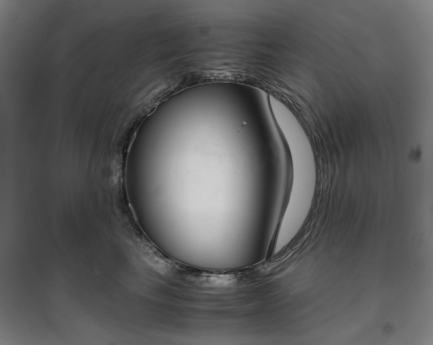 X0000096960665200802151237