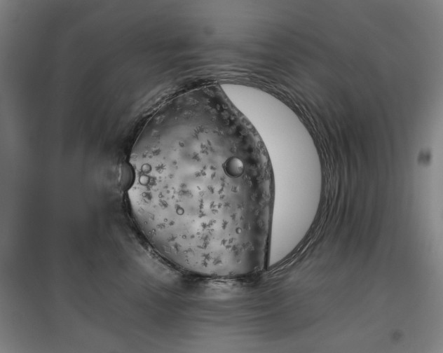 X0000096960666200802151237