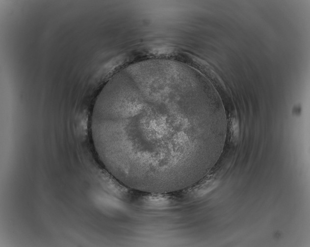 X0000096960668200802151237