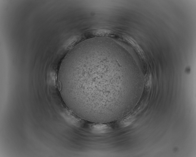 X0000096960669200802151237