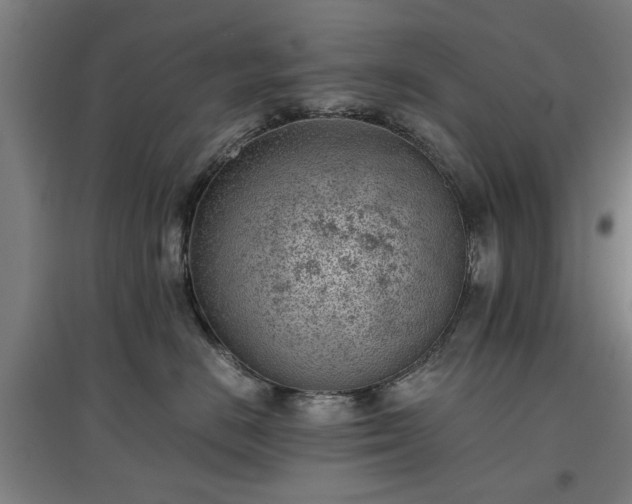 X0000096960670200802151237