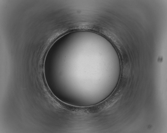 X0000096960673200802151236