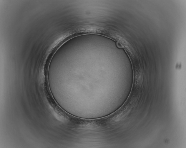 X0000096960674200802151236