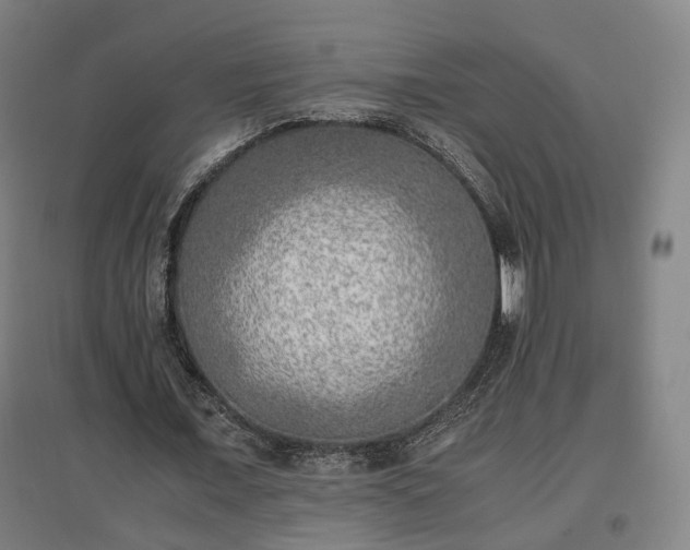 X0000096960675200802151236