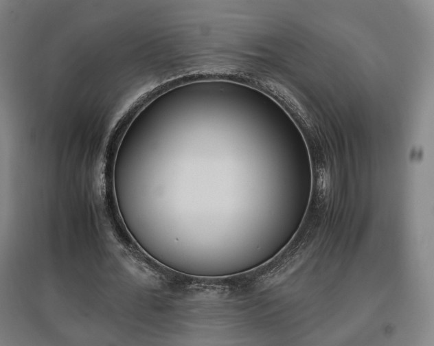 X0000096960676200802151236