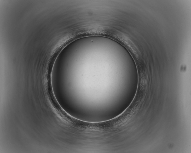 X0000096960677200802151236