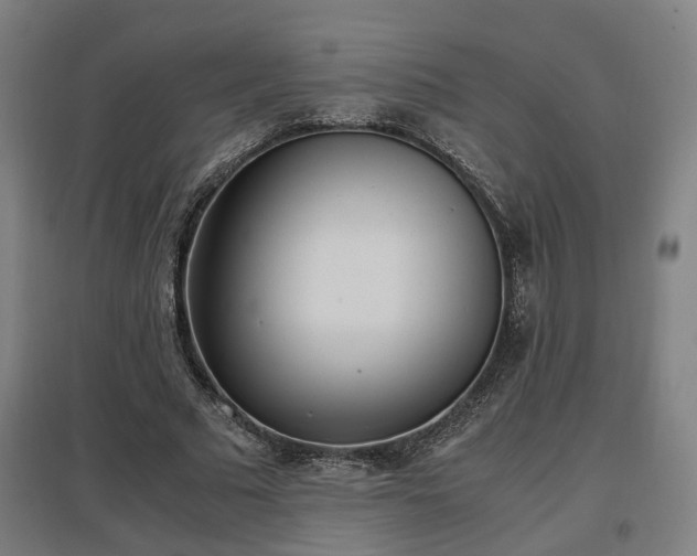 X0000096960681200802151236