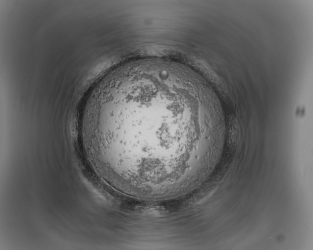 X0000096960683200802151236