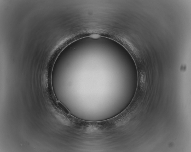 X0000096960684200802151236