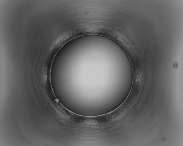 X0000096960685200802151236