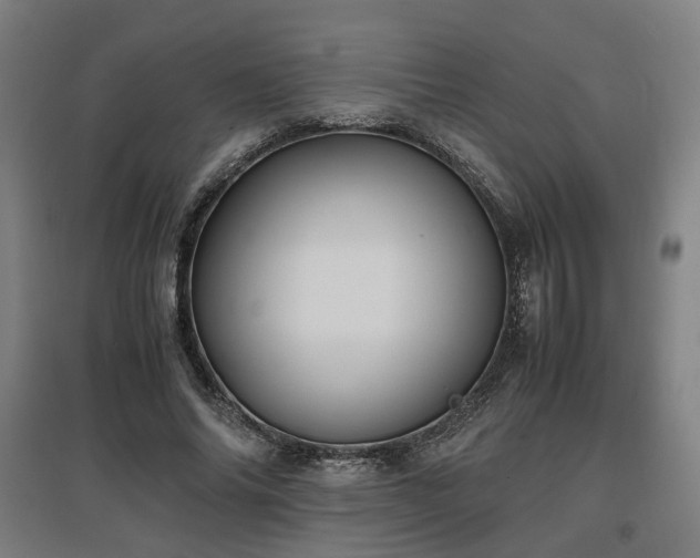 X0000096960686200802151236