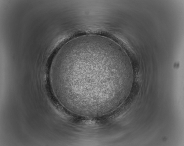 X0000096960687200802151236