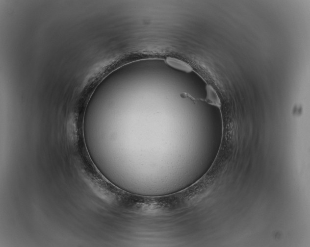 X0000096960688200802151236