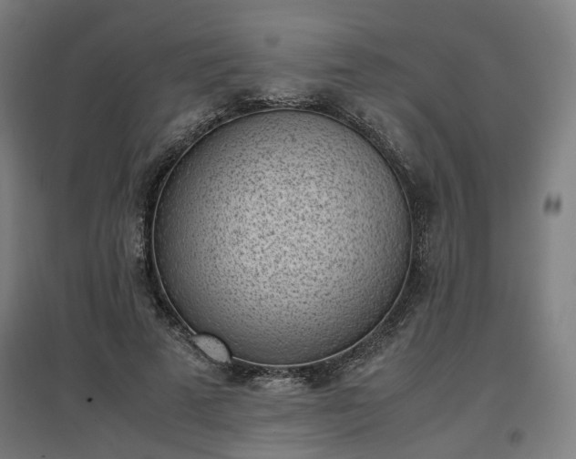 X0000096960689200802151236