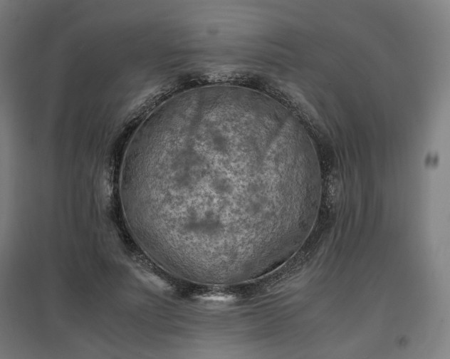 X0000096960691200802151236