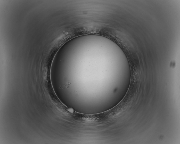 X0000096960693200802151236