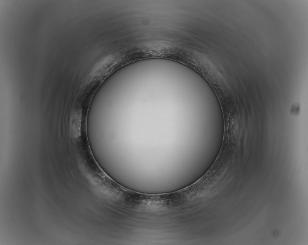 X0000096960694200802151236