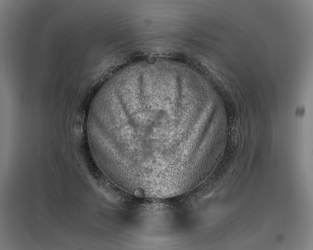 X0000096960695200802151236