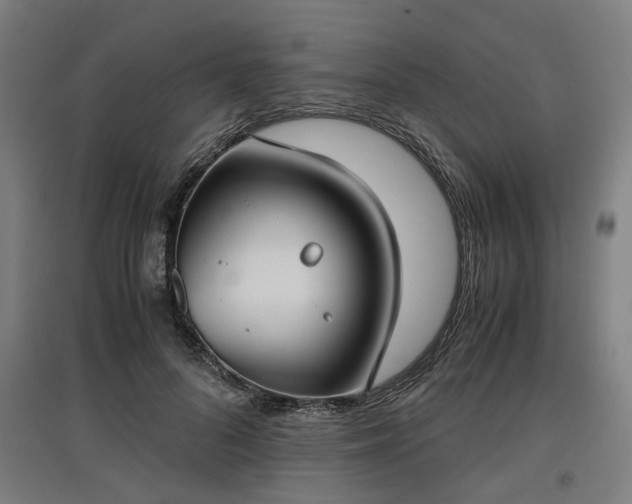 X0000096960696200802151236