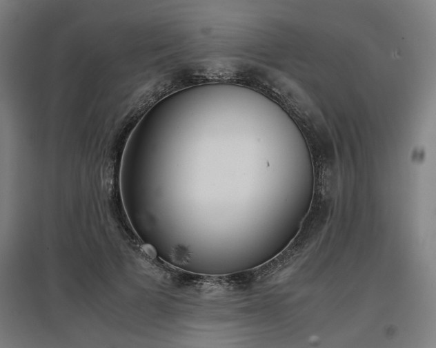 X0000096960697200802151236