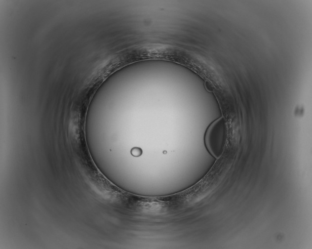 X0000096960698200802151236