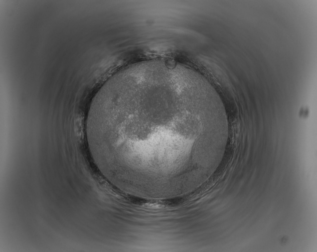 X0000096960699200802151236