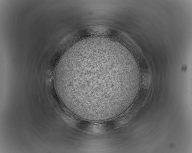 X0000096960701200802151236