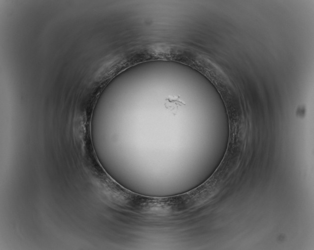 X0000096960702200802151236