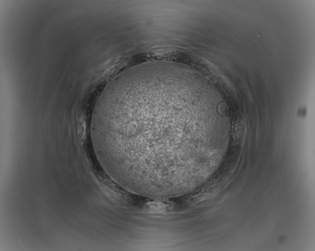 X0000096960703200802151236