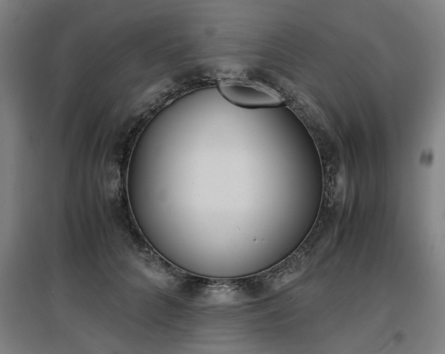 X0000096960704200802151236