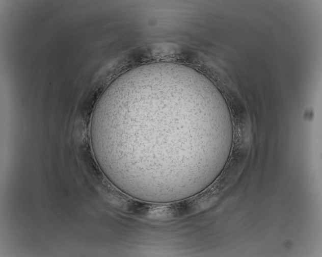 X0000096960705200802151236