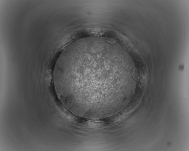 X0000096960707200802151236