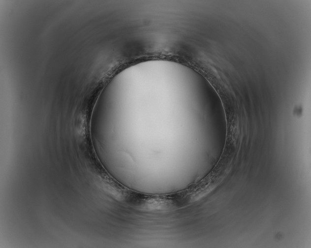 X0000096960708200802151236