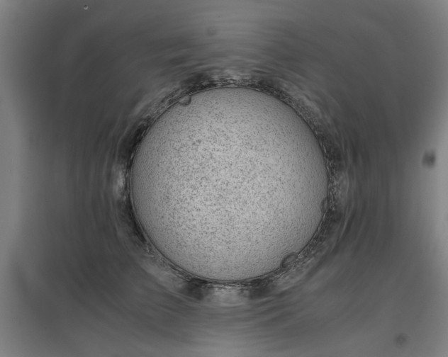 X0000096960709200802151236