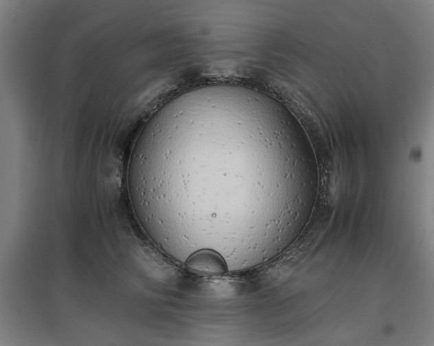 X0000096960710200802151236