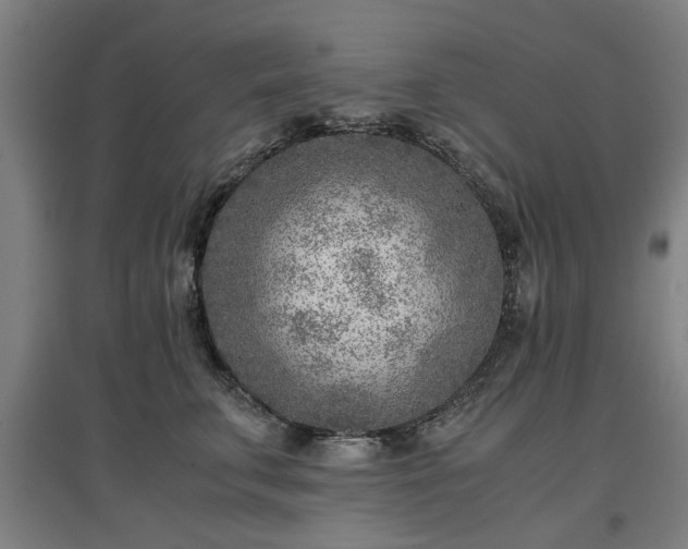 X0000096960711200802151236