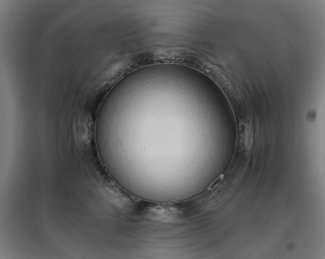 X0000096960712200802151236