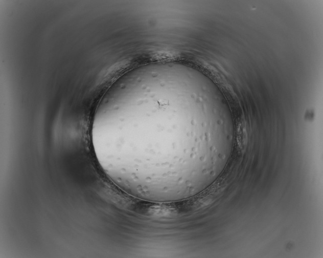 X0000096960714200802151236