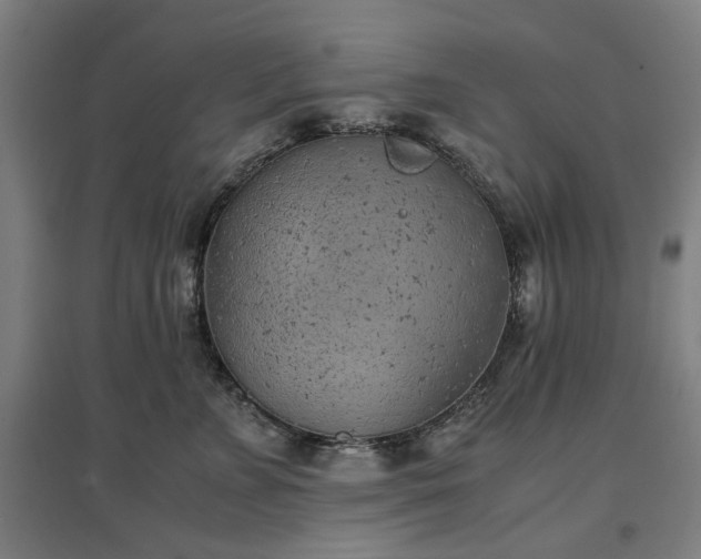 X0000096960715200802151236