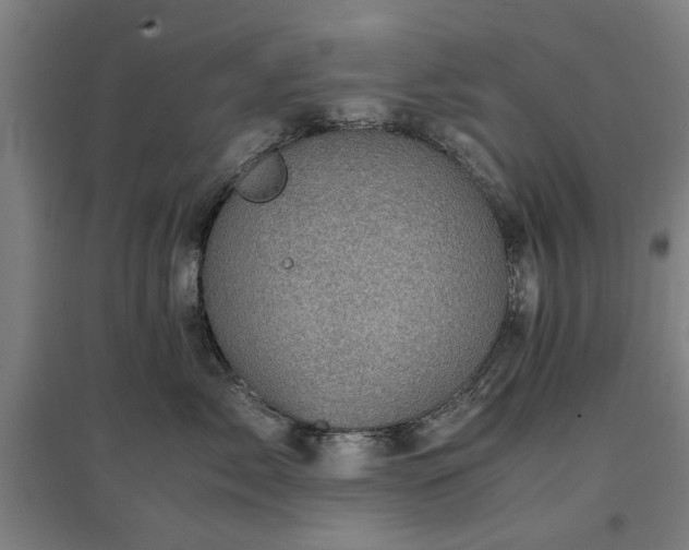 X0000096960717200802151236