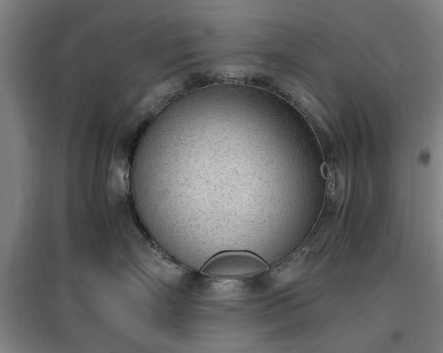 X0000096960718200802151236