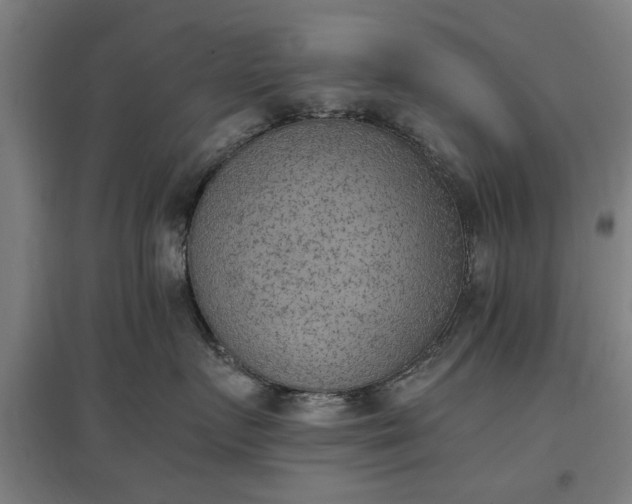 X0000096960719200802151236